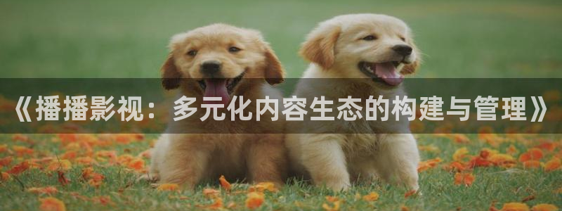 神马影院午夜不卡