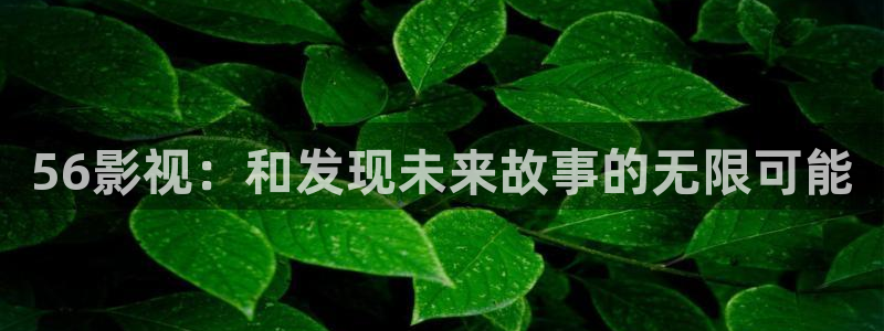 神马电影我不卡在线观看