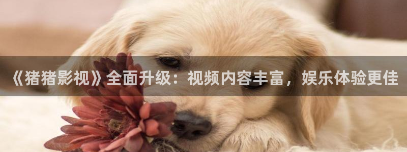 神马电影星辰影院