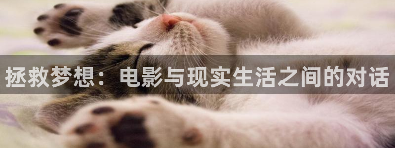 神马第九影院在线观看