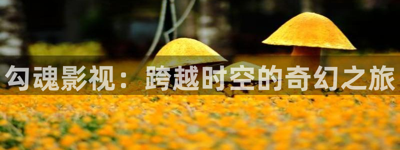 神马影院韩国女主播
