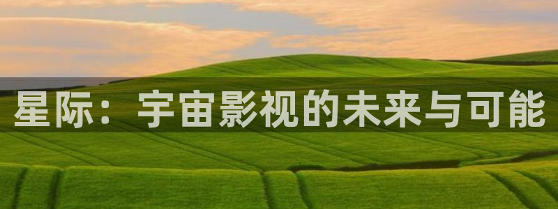 消失的她在线播放神马影院