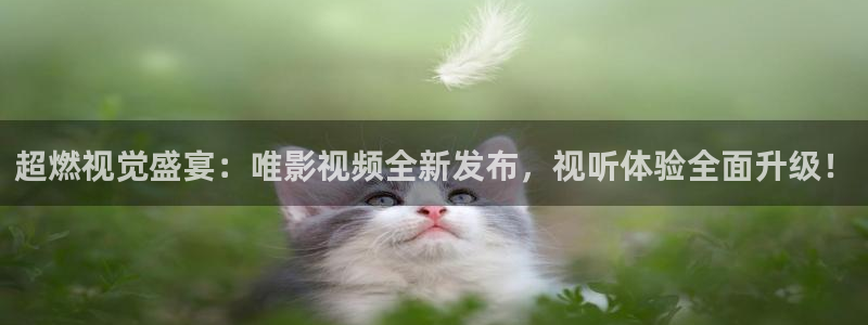 神马影院叫