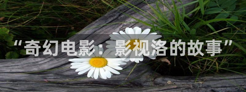 我不卡神马影音