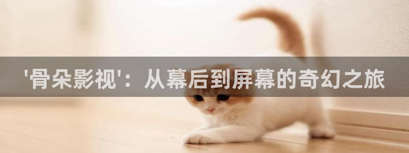 神马电影在线观看2023年免费播放电视剧