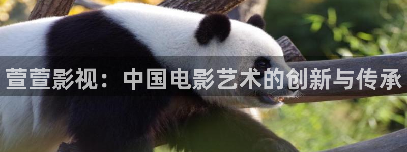 神马电影院7777不卡午夜影院.